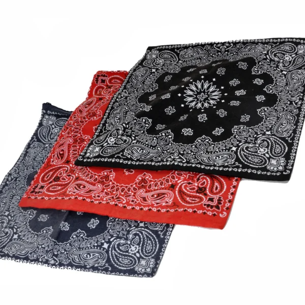 PAISLEYS BANDANA柄CUSHION COVER/STONE WASH[ペイズリーバンダナ柄